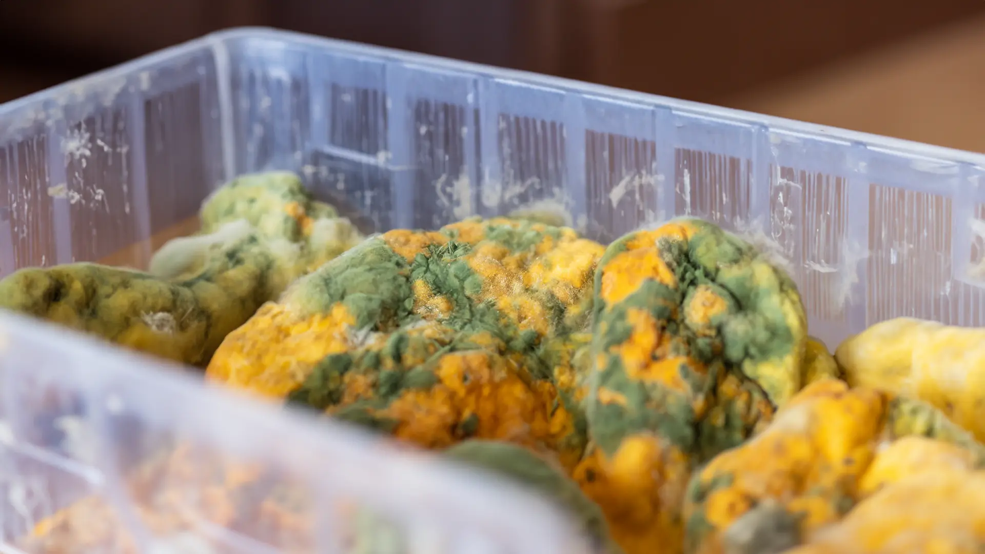 Tupperware en faillite, le repas refroidit Tupperware en faillite, le repas refroidit